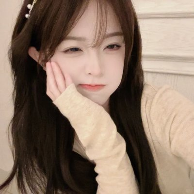 美洲狮公司